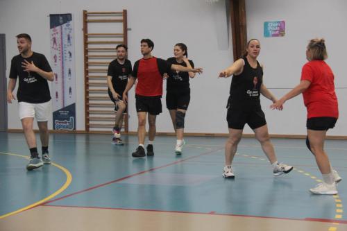 IMG 9567