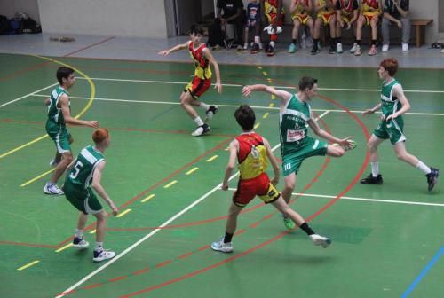 IMG 9894a